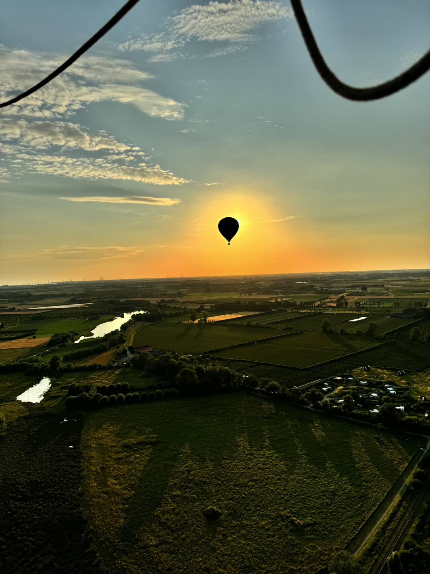 De lente hangt in de lucht!